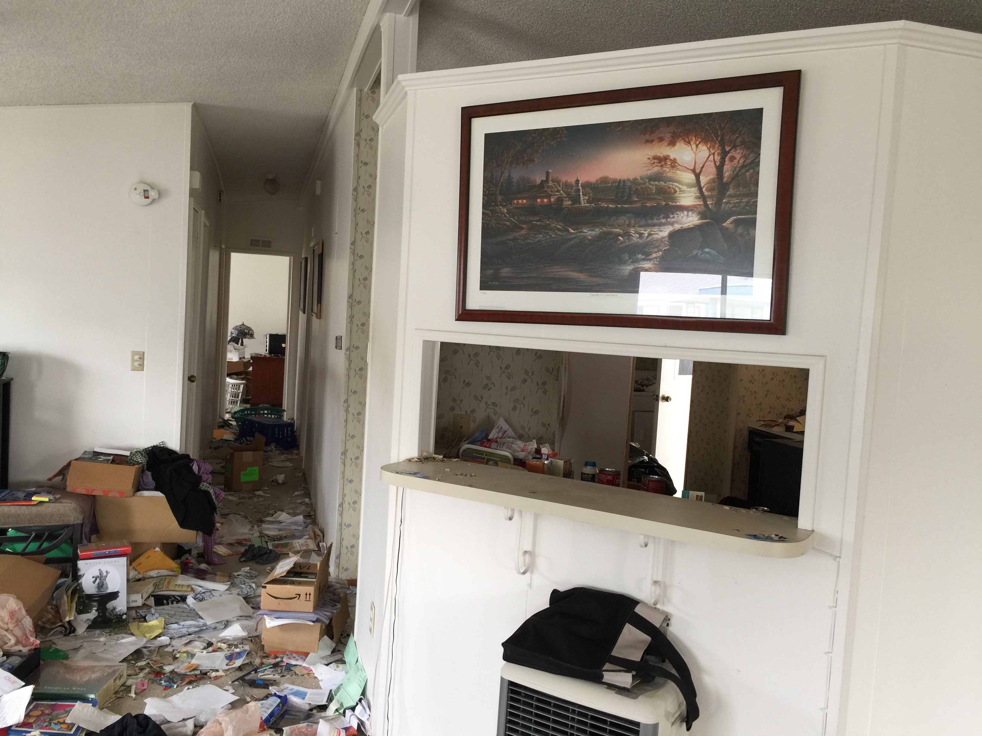 hoarder cleaning simi valley